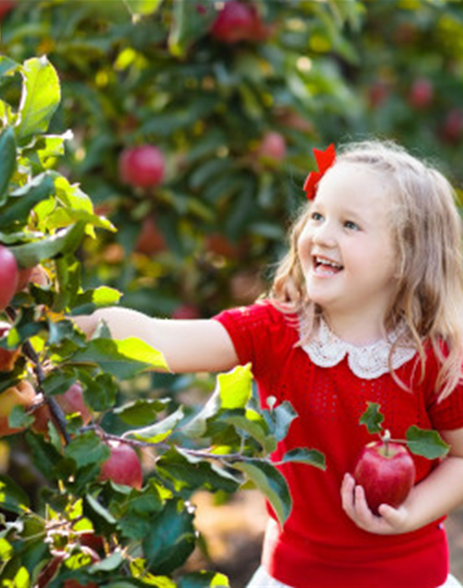 OBSTGARTEN FÜR KINDER