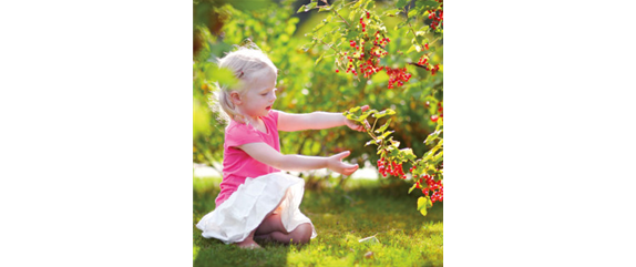 OBSTGARTEN FÜR KINDER