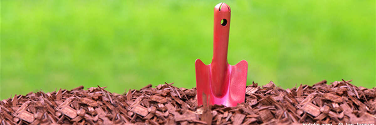 Header_Mulch